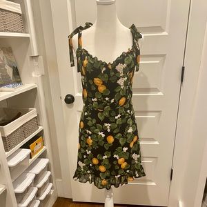 Reformation Clementine Dress